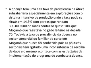• A doença tem uma alta taxa de prevalência na África
subsahariana especialmente em explorações com o
sistema intensivo de produção onde a taxa pode se
situar em 14,5% com perdas que rondam
300.000.000 de rands contra os quase 10% que
Moçambique registava no gado leiteiro na década
70. Todavia a taxa de prevalência da doença no
sector comercial ou familiar de corte em
Moçambique nunca foi conhecida pois as politicas
sectoriais tem rgstado uma inconsistencia de recolha
de daos e o mesmo acontece com as estratégias da
implementação do programa de combate à doença.
 
