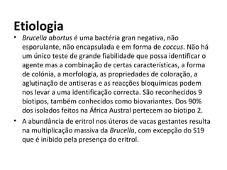 Etiologia
• Brucella abortus é uma bactéria gran negativa, não
esporulante, não encapsulada e em forma de coccus. Não há
um único teste de grande fiabilidade que possa identificar o
agente mas a combinação de certas características, a forma
de colónia, a morfologia, as propriedades de coloração, a
aglutinação de antiseras e as reacções bioquímicas podem
nos levar a uma identificação correcta. São reconhecidos 9
biotipos, também conhecidos como biovariantes. Dos 90%
dos isolados feitos na África Austral pertecem ao biotipo 2.
• A abundância de eritrol nos úteros de vacas gestantes resulta
na multiplicação massiva da Brucella, com excepção do S19
que é inibido pela presença do eritrol.
 
