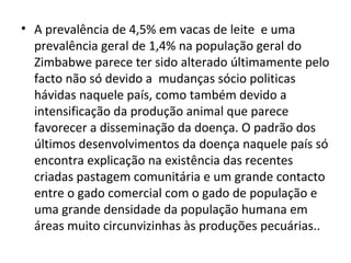 • A prevalência de 4,5% em vacas de leite e uma
prevalência geral de 1,4% na população geral do
Zimbabwe parece ter sido alterado últimamente pelo
facto não só devido a mudanças sócio politicas
hávidas naquele país, como também devido a
intensificação da produção animal que parece
favorecer a disseminação da doença. O padrão dos
últimos desenvolvimentos da doença naquele país só
encontra explicação na existência das recentes
criadas pastagem comunitária e um grande contacto
entre o gado comercial com o gado de população e
uma grande densidade da população humana em
áreas muito circunvizinhas às produções pecuárias..
 