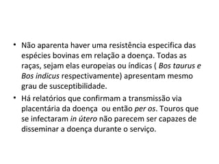 • Não aparenta haver uma resistência especifica das
espécies bovinas em relação a doença. Todas as
raças, sejam elas europeias ou índicas ( Bos taurus e
Bos indicus respectivamente) apresentam mesmo
grau de susceptibilidade.
• Há relatórios que confirmam a transmissão via
placentária da doença ou então per os. Touros que
se infectaram in útero não parecem ser capazes de
disseminar a doença durante o serviço.
 