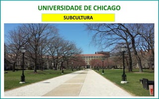 UNIVERSIDADE DE CHICAGO
SUBCULTURA
 
