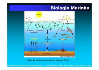 Biologia Marinha




                      Ciclo da matéria e energia no Oceano Ártico

Universidade Federal Rural de Pern...