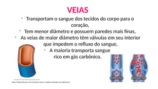 VEIAS
- Transportam o sangue dos tecidos do corpo para o
coração,
- Tem menor diâmetro e possuem paredes mais finas,
- As veias de maior diâmetro têm válvulas em seu interior
que impedem o refluxo do sangue,
- A maioria transporta sangue
rico em gás carbônico.
https://fisioteraloucos.com.br/arterias-veias-e-capilares-entenda-suas-diferencas/
 