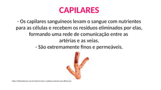 CAPILARES
- Os capilares sanguíneos levam o sangue com nutrientes
para as células e recebem os resíduos eliminados por elas,
formando uma rede de comunicação entre as
artérias e as veias.
- São extremamente finos e permeáveis.
https://fisioteraloucos.com.br/arterias-veias-e-capilares-entenda-suas-diferencas/
 