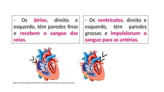 - Os átrios, direito e
esquerdo, têm paredes finas
e recebem o sangue das
veias.
https://www.educaplay.com/learning-resources/3737163-partes_del_corazon.html
- Os ventrículos, direito e
esquerdo, têm paredes
grossas e impulsionam o
sangue para as artérias.
 