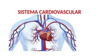 SISTEMA CARDIOVASCULAR
 
