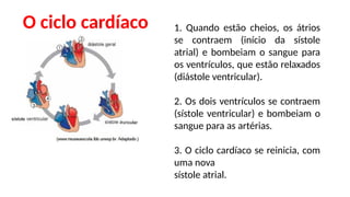 O ciclo cardíaco 1. Quando estão cheios, os átrios
se contraem (início da sístole
atrial) e bombeiam o sangue para
os ventrículos, que estão relaxados
(diástole ventricular).
2. Os dois ventrículos se contraem
(sístole ventricular) e bombeiam o
sangue para as artérias.
3. O ciclo cardíaco se reinicia, com
uma nova
sístole atrial.
 