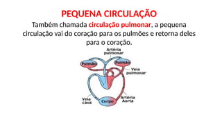 PEQUENA CIRCULAÇÃO
Também chamada circulação pulmonar, a pequena
circulação vai do coração para os pulmões e retorna deles
para o coração.
 