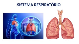 SISTEMA RESPIRATÓRIO
 