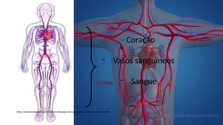 - Coração
- Vasos sanguíneos
- Sangue
https://www.biologianet.com/anatomia-fisiologia-animal/circulacao-sistemica-pulmonar.htm
 