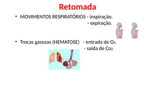 Retomada
• MOVIMENTOS RESPIRATÓRIOS - inspiração.
- expiração.
• Trocas gasosas (HEMATOSE) - entrada de O2.
- saída de Co2.
 