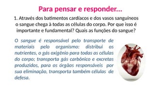 Para pensar e responder...
1. Através dos batimentos cardíacos e dos vasos sanguíneos
o sangue chega à todas as células do corpo. Por que isso é
importante e fundamental? Quais as funções do sangue?
O sangue é responsável pelo transporte de
materiais pelo organismo: distribui os
nutrientes, o gás oxigênio para todas as células
do corpo; transporta gás carbônico e excretas
produzidos, para os órgãos responsáveis por
sua eliminação, transporta também células de
defesa.
 