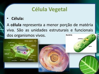 Célula Vegetal
• Célula:
A célula representa a menor porção de matéria
viva. São as unidades estruturais e funcionais
dos organismos vivos.
 