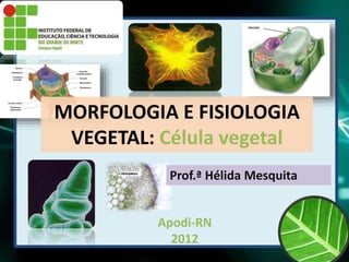 Apodi-RN
2012
MORFOLOGIA E FISIOLOGIA
VEGETAL: Célula vegetal
Prof.ª Hélida Mesquita
 