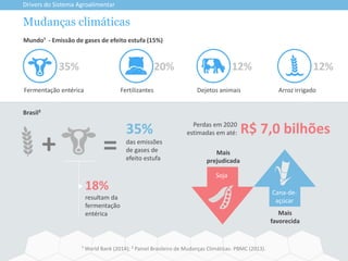 Mudanças climáticas
Drivers do Sistema Agroalimentar
¹ World Bank (2014); ² Painel Brasileiro de Mudanças Climáticas- PBMC (2013).
Soja
Mais
favorecida
Mais
prejudicada
Cana-de-
açúcar
+ =
35%
das emissões
de gases de
efeito estufa
Brasil²
Mundo¹ - Emissão de gases de efeito estufa (15%)
18%
resultam da
fermentação
entérica
Perdas em 2020
estimadas em até: R$ 7,0 bilhões
35% 20% 12%
Arroz irrigadoFermentação entérica Fertilizantes
12%
Dejetos animais
 