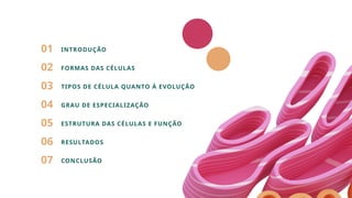 01
02
03
04
05
06
07
INTRODUÇÃO
FORMAS DAS CÉLULAS
TIPOS DE CÉLULA QUANTO À EVOLUÇÃO
GRAU DE ESPECIALIZAÇÃO
ESTRUTURA DAS CÉLULAS E FUNÇÃO
RESULTADOS
CONCLUSÃO
 