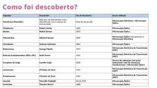 Como foi descoberto?
Organelas Descobridor Ano de Descoberta Técnica Utilizada
Membrana Plasmática
Não tem um descobridor único
(identificada com o avanço da
microscopia)
Final do século XIX Microscopia Eletrônica e Microscopia
Óptica
Citoplasma Robert Hooke 1665 Microscopia Óptica
Núcleo Robert Brown 1831 Microscopia Óptica
Mitocôndria Albrecht Kossel 1890 Microscopia Óptica (inicialmente) e
Microscopia Eletrônica
Cloroplasto Andreas Schimper 1883 Microscopia Óptica
Ribossomos George Palade 1955
Microscopia Eletrônica de Transmissão
(MET)
Retículo Endoplasmático (RER e REL) Keith Porter 1945 Microscopia Eletrônica de Transmissão
(MET)
Complexo de Golgi Camillo Golgi 1898
Técnica de coloração com prata
destacando rede de estruturas
membranosas e Microscopia Óptica
Lisossomos Christian de Duve 1955 Microscopia Eletrônica de Transmissão
(MET)
Peroxissomos Christian de Duve 1965
Microscopia Eletrônica de Transmissão
(MET)
Vacúolo Marcello Malpighi Século XVII Microscopia Óptica
Centríolos Theodor Boveri 1888 Microscopia Óptica
 