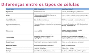 Diferenças entre os tipos de células
Característica Célula Procariótica 🦠 Célula Eucariótica 🧬
Organismos Bactérias e arqueias Animais, plantas, fungos e protozoários
Núcleo
❌ Não possui definido (DNA disperso no
citoplasma e nucleóide) ✅ Possui núcleo definido com envoltório nuclear
Material Genético DNA circular, sem histonas DNA linear associado a proteínas histonas
Organelas Membranosas
❌ Ausentes (não tem mitocôndrias, complexo de
Golgi, etc.)
✅ Presentes (mitocôndrias, RER, REL, complexo
de Golgi, lisossomos, etc.)
Ribossomos Menores (70S) Maiores (80S no citoplasma, 70S em
mitocôndrias e cloroplastos)
Parede Celular Presente na maioria (composta por
peptidoglicano em bactérias)
Presente em células vegetais (celulose) e
fúngicas (quitina), ausente em células animais
Divisão Celular Fissão binária (processo simples e rápido) Mitose ou meiose (processo complexo)
Respiração Celular Acontece na membrana plasmática Ocorre nas mitocôndrias
Tamanho Pequenas (0,1 a 5 µm) Maiores (10 a 100 µm)
Exemplo Escherichia coli, Staphylococcus aureus Neurônios, células da pele, células vegetais
 