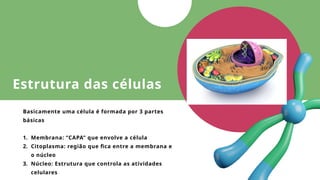 Estrutura das células
Basicamente uma célula é formada por 3 partes
básicas
1. Membrana: “CAPA” que envolve a célula
2. Citoplasma: região que fica entre a membrana e
o núcleo
3. Núcleo: Estrutura que controla as atividades
celulares
 