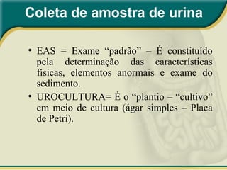 • EAS = Exame “padrão” – É constituído
pela determinação das características
físicas, elementos anormais e exame do
sedimento.
• UROCULTURA= É o “plantio – “cultivo”
em meio de cultura (ágar simples – Placa
de Petri).
Coleta de amostra de urina
 