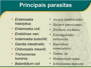 Principais parasitas
• Entamoeba
histolytica;
• Entamoeba coli;
• Endolimax nan;
• Iodamoeba butschlii;
• Giardia intestinalis;
• Chilomastix mesnili;
• Trichomonas
hominis;
• Balantidium coli
• Ascaris lumbricóides;
• Necator americanus;
• Trichuris trichiura;
• Estrongyloides
stercoralis;
• Enterobius
vermicularis;
• Taenia, sp;
• Hymenolepis nana;
• Schistosoma mansoni
 