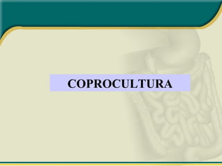 COPROCULTURA
 