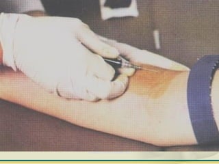 ELISABETH THOMÉ / SANDRA LEAL
 