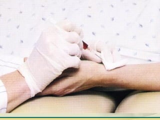 ELISABETH THOMÉ / SANDRA LEAL
 