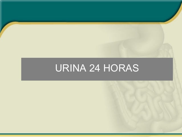 Tipos de exames de urina 24 horas