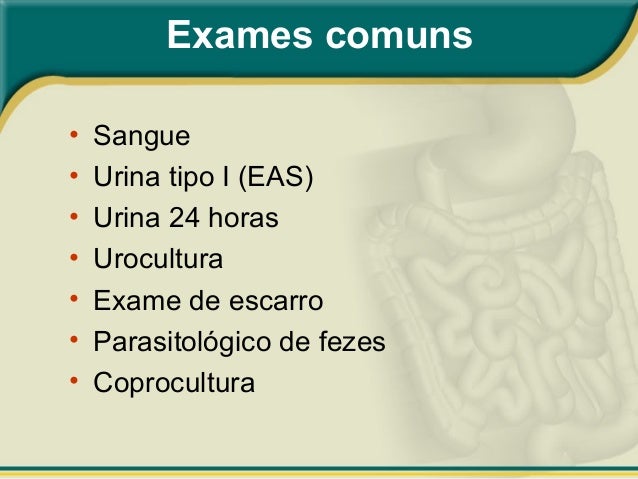 Tipos de exames de urina 24 horas