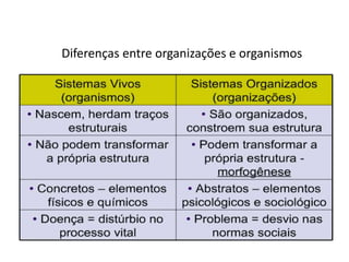 Diferenças entre organizações e organismos
 