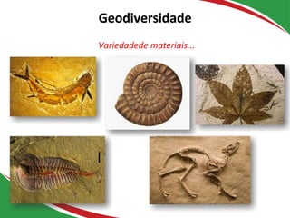 Geodiversidade
Fósseis
Variedadede materiais...
 
