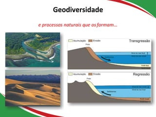 Geodiversidade
e processos naturais que osformam...
Sedimentação
 