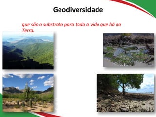 Geodiversidade
Costões rochosos
e organismos
Escarpas da Serra
do Mar e
Floresta Atlântica
que são o substrato para toda a vida que há na
Terra.
Depressão
sertaneja e
caatinga
Sedimentação
em manguezais
 