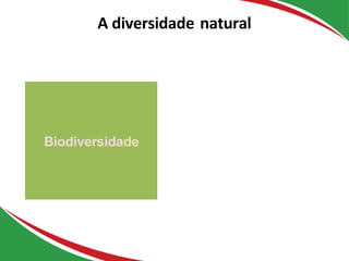 Biodiversidade
A diversidade natural
 