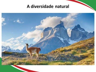 A diversidade natural
 