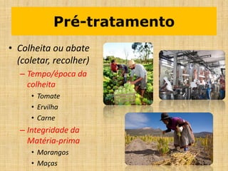 Pré-tratamento
• Colheita ou abate
(coletar, recolher)
– Tempo/época da
colheita
• Tomate
• Ervilha
• Carne
– Integridade da
Matéria-prima
• Morangos
• Maças
 