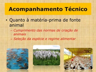 Acompanhamento Técnico
• Quanto à matéria-prima de fonte
animal
– Cumprimento das normas de criação de
animais
– Seleção da espécie e regime alimentar
 