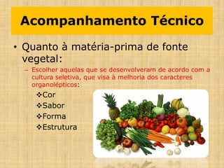 Acompanhamento Técnico
• Quanto à matéria-prima de fonte
vegetal:
– Escolher aquelas que se desenvolveram de acordo com a
cultura seletiva, que visa à melhoria dos caracteres
organolépticos:
Cor
Sabor
Forma
Estrutura
 