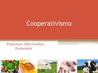 Cooperativismo 
Professora: Júlia Carolina 
Zootecnista  