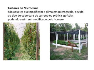 Factores do Microclima
São aqueles que modificam o clima em microescala, devido
ao tipo de cobertura do terreno ou prática agrícola,
podendo assim ser modificado pelo homem.
 