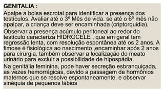 GENITALIA :
Apalpe a bolsa escrotal para identificar a presença dos
testículos. Avaliar até o 3º Mês de vida. se até o 6º mês não
apalpar, a criança deve ser encaminhada (criptorquidia).
Observar a presença acúmulo peritoneal ao redor do
testículo caracteriza HIDROCELE , que em geral tem
regressão lenta, com resolução espontânea até os 2 anos. A
fimose é fisiológica ao nascimento ,encaminhar após 2 anos
para cirurgia, também observar a localização do meato
urinário para excluir a possibilidade de hipospádia.
Na genitália feminina, pode haver secreção esbranquiçada,
as vezes hemorrágicas, devido a passagem de hormônios
maternos que se resolve espontaneamente. e observar
sinéquia de pequenos lábios
 