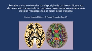Perceber a onda é vivenciar sua disposição de partículas. Nosso ato
de percepção traduz onda em partícula; nossos campos neurais e seus
sentidos receptores são os meios dessa tradução.
Pearce, Joseph Chilton – O Fim da Evolução, Pag. 45
 