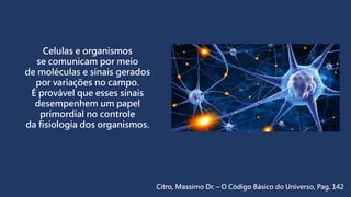 Celulas e organismos
se comunicam por meio
de moléculas e sinais gerados
por variações no campo.
É provável que esses sinais
desempenhem um papel
primordial no controle
da fisiologia dos organismos.
Citro, Massimo Dr. – O Código Básico do Universo, Pag. 142
 