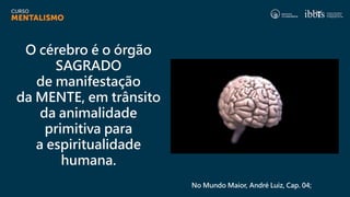 O cérebro é o órgão
SAGRADO
de manifestação
da MENTE, em trânsito
da animalidade
primitiva para
a espiritualidade
humana.
No Mundo Maior, André Luiz, Cap. 04;
 