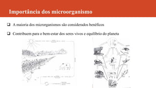 Importância dos microorganismo
 A maioria dos microrganismos são considerados benéficos
 Contribuem para o bem-estar dos seres vivos e equilíbrio do planeta
 