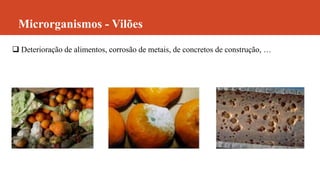 Microrganismos - Vilões
 Deterioração de alimentos, corrosão de metais, de concretos de construção, …
 