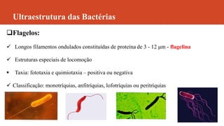Ultraestrutura das Bactérias
Flagelos:
 Longos filamentos ondulados constituídas de proteína de 3 - 12 μm - flagelina
 Estruturas especiais de locomoção
 Taxia: fototaxia e quimiotaxia – positiva ou negativa
 Classificação: monotríquias, anfitríquias, lofotríquias ou peritríquias
 
