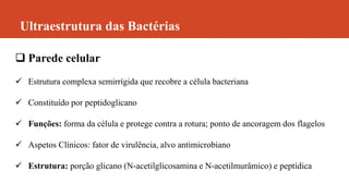 Ultraestrutura das Bactérias
 Parede celular
 Estrutura complexa semirrígida que recobre a célula bacteriana
 Constituído por peptidoglicano
 Funções: forma da célula e protege contra a rotura; ponto de ancoragem dos flagelos
 Aspetos Clínicos: fator de virulência, alvo antimicrobiano
 Estrutura: porção glicano (N-acetilglicosamina e N-acetilmurâmico) e peptídica
 