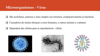 Microorganismos - Vírus
 São acelulares, menores e mais simples em estrutura, comparativamente as bactérias
 Causadores de muitas doenças a seres humanos, a outros animais e a plantas.
 Dependem das células para se reproduzirem - célula
 